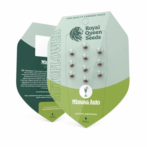 Mimosa Auto | Autoflowering Hanfsamen von Royal Queen Seeds