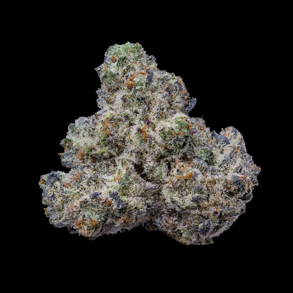 Bogota Buds Getrocknete Bogota Blüten mit dichter Trichomschicht