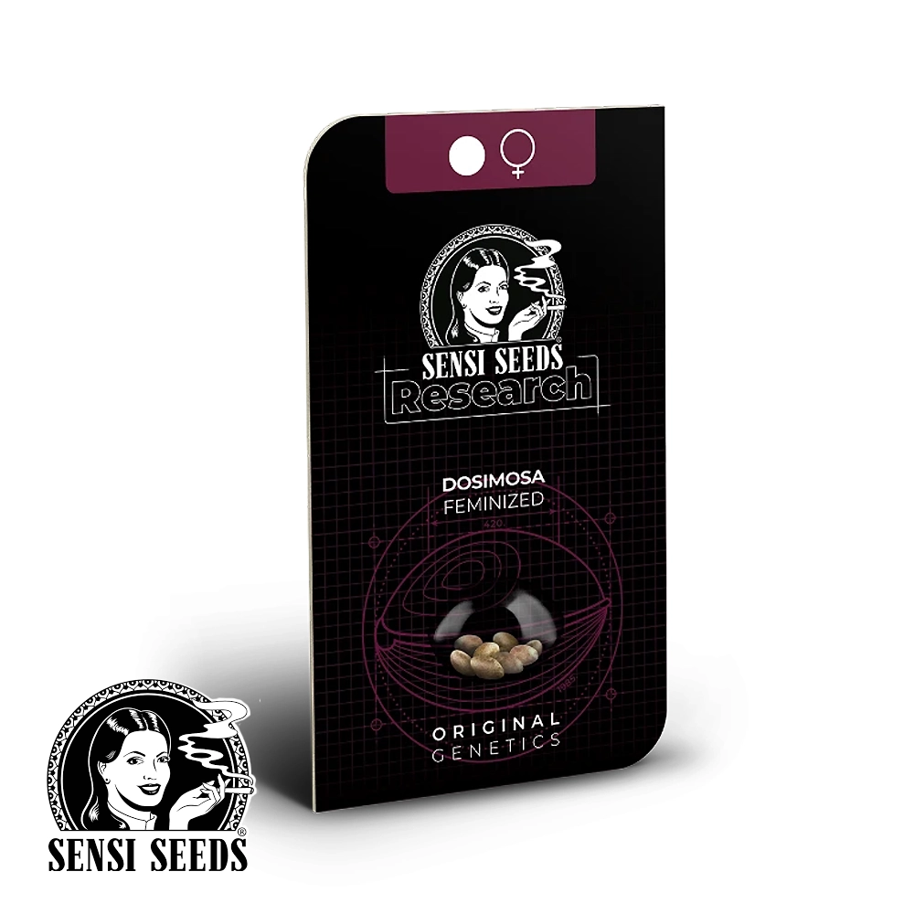 Dosimosa | Feminisierte Cannabissamen von Sensi Seeds