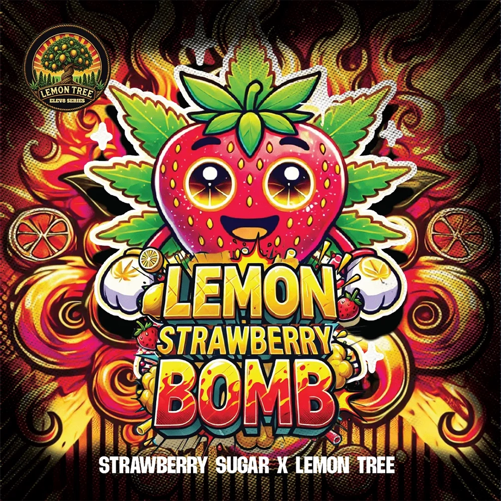 Lemon Strawberry Bomb Artwork Grafik Lemon Strawberry Bomb von Elev8 Seeds mit Erdbeer-Motiv