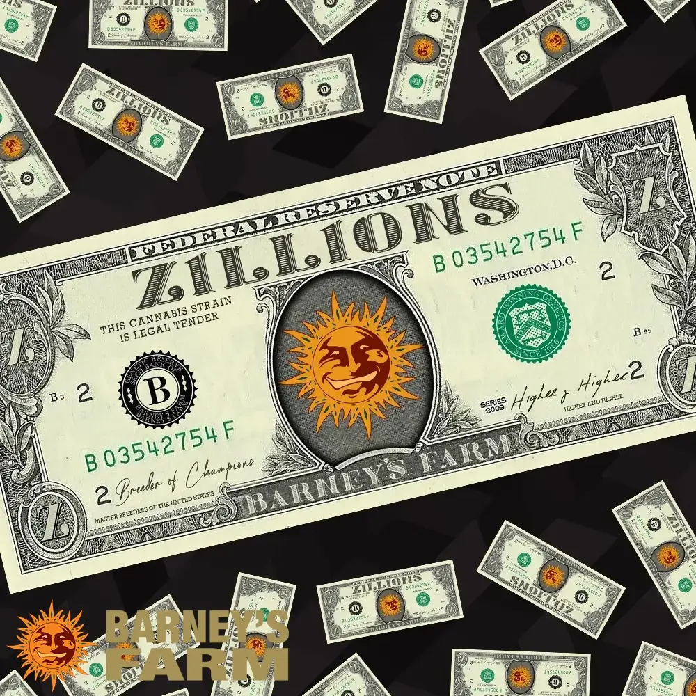 Zillions Artwork Sorten-Grafik Zillions von Barneys Farm mit Dollarnoten-Motiv