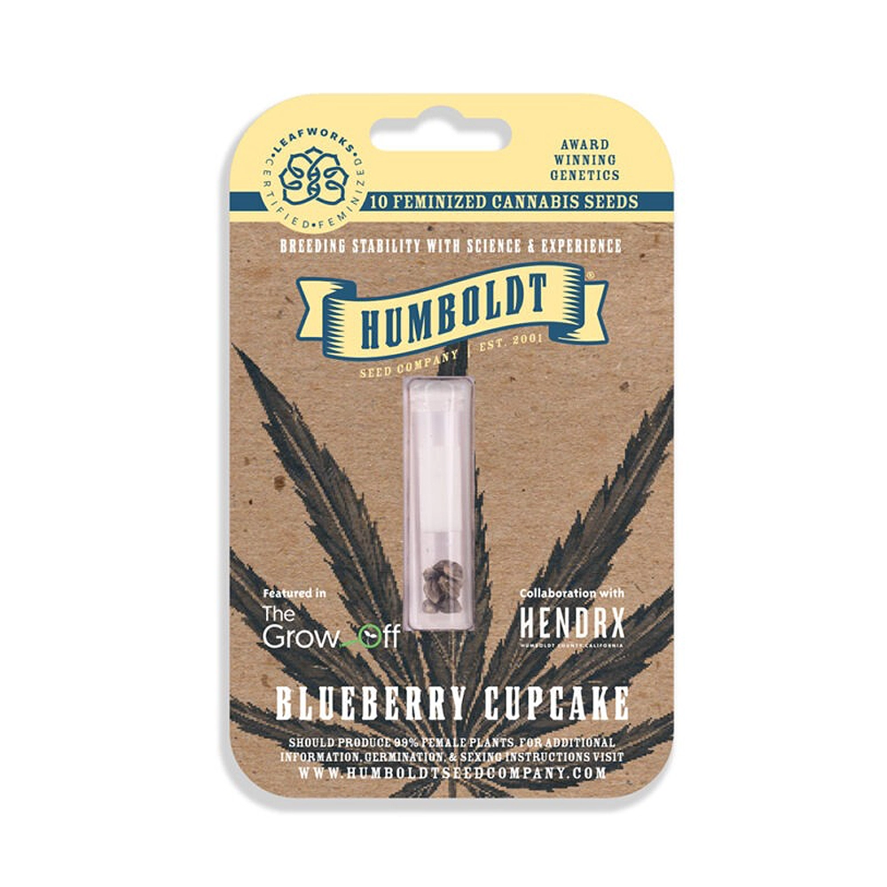 Blueberry Cupcake | Feminisierte Hanfsamen von Humboldt Seed