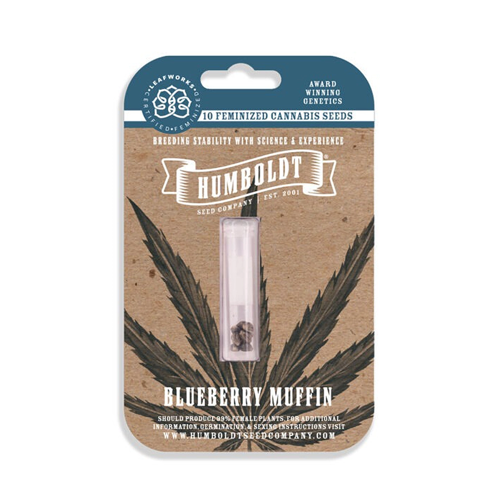 Blueberry Muffin | Feminisierte Hanfsamen von Humboldt Seed