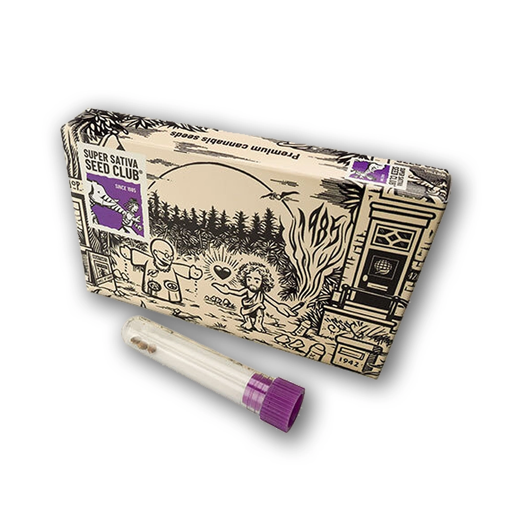 Gorilla Super Glue | Feminisierte Hanfsamen von Dutch Passion