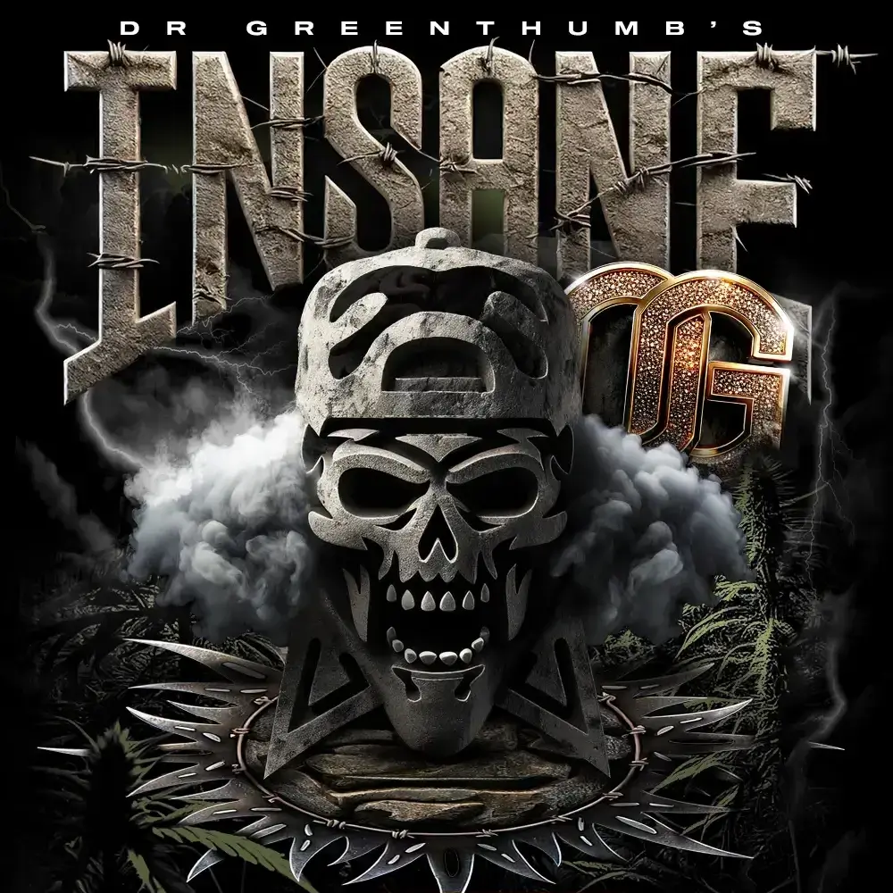 Insane OG Artwork Sorten-Illustration Insane OG von Dr Greenthumbs mit Totenkopf-Motiv