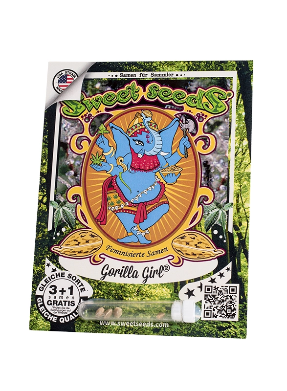 Gorilla Girl | Feminisierte Cannabissamen von Sweet Seeds