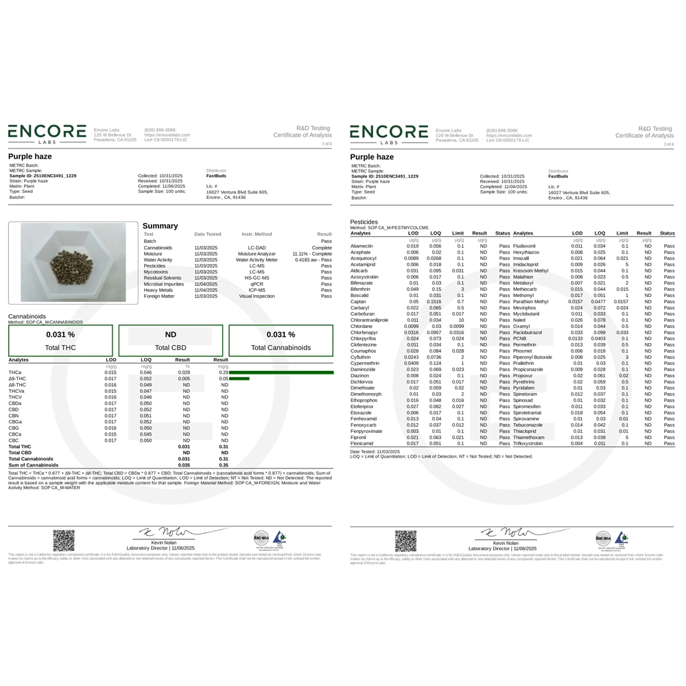 Purple Haze Auto | Autoflowering Hanfsamen von Fast Buds