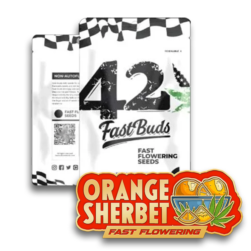 Orange Sherbet FF | Feminisierte Cannabissamen von Fast Buds