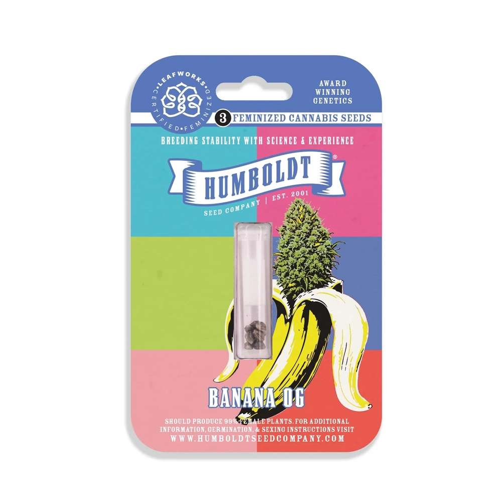 Banana OG | Feminisierte Cannabissamen von Humboldt Seed