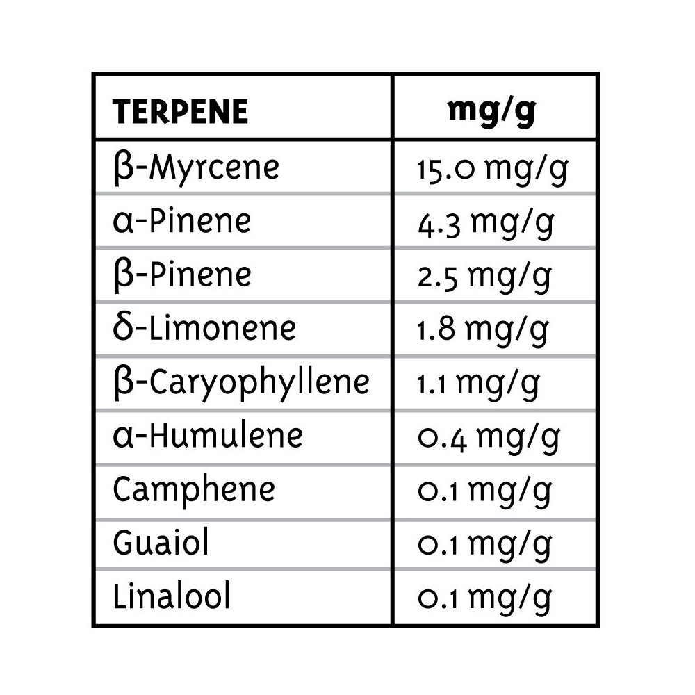All Gas OG | Feminisierte Hanfsamen von Humboldt Seed