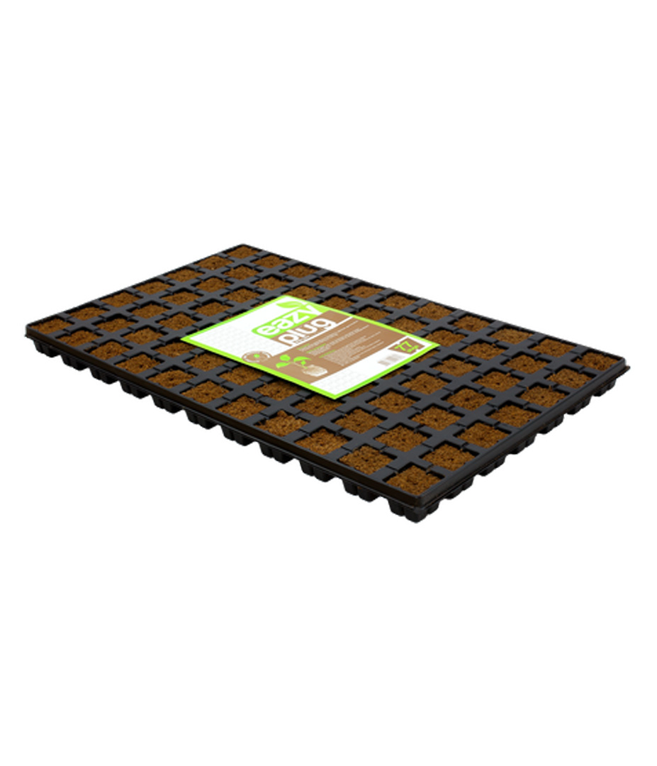 Growversand stecklingsequipment eazy plug 77