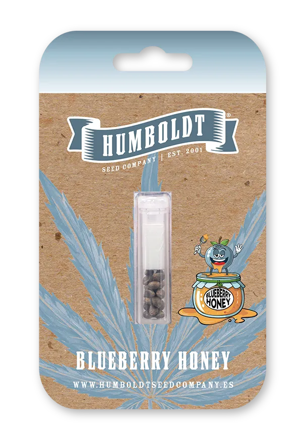 Blueberry Honey Verpackung Blisterverpackung Blueberry Honey Samen von Humboldt Seed Company