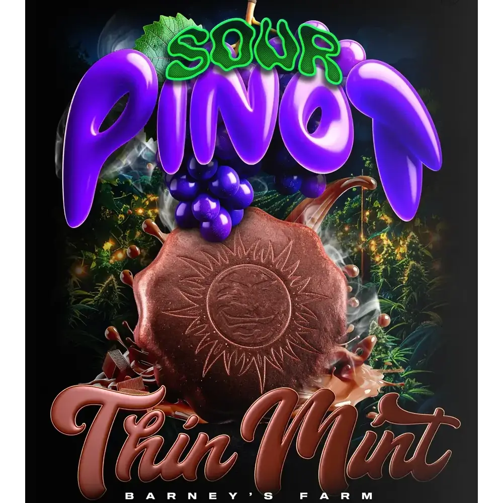 Thin Mint x Sour Pinot Auto Artwork Sorten-Grafik Sour Pinot x Thin Mint von Barneys Farm