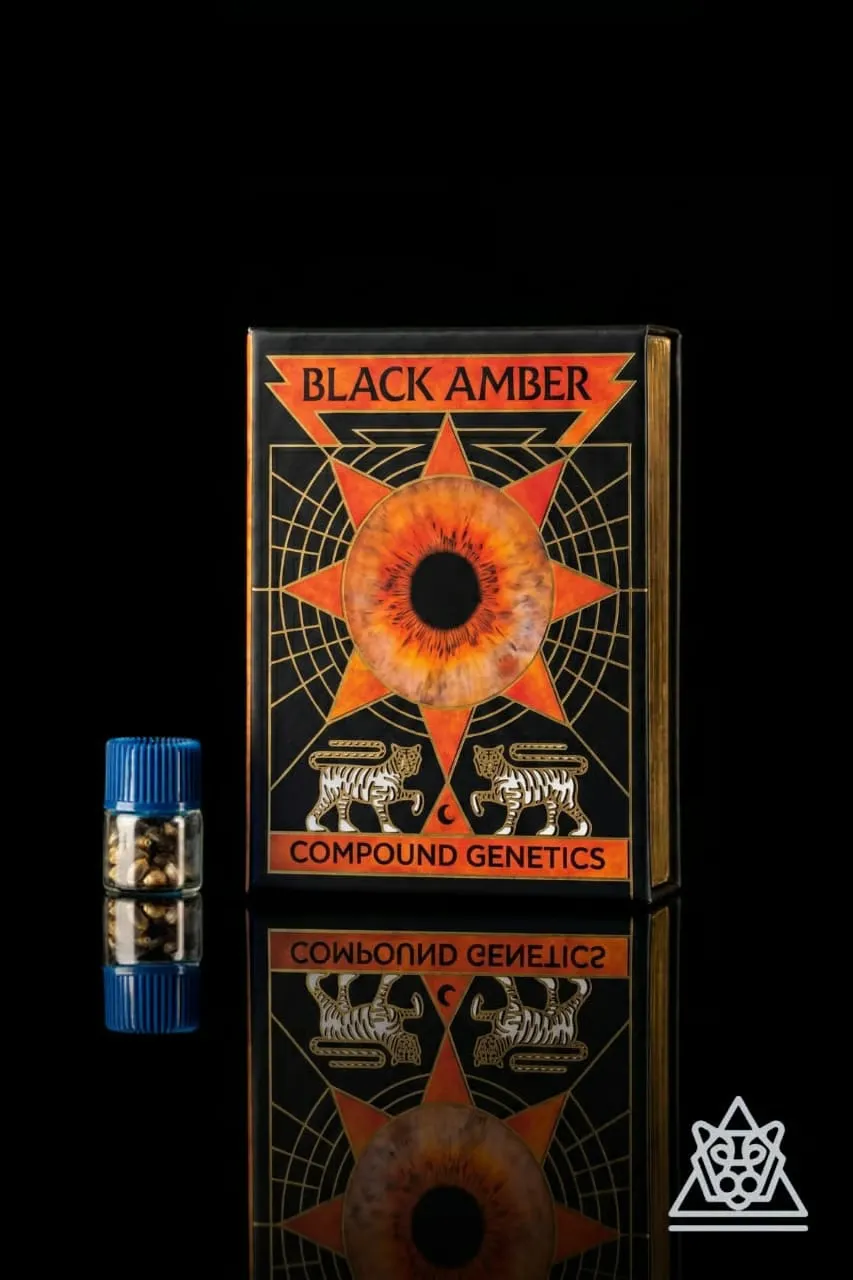 Compound Genetics Black Amber Compound Genetics Verpackung Black Amber mit Samenfläschchen