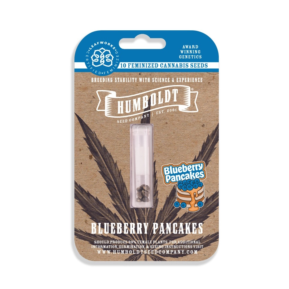 Blueberry Pancakes | Feminisierte Cannabissamen von Humboldt Seed