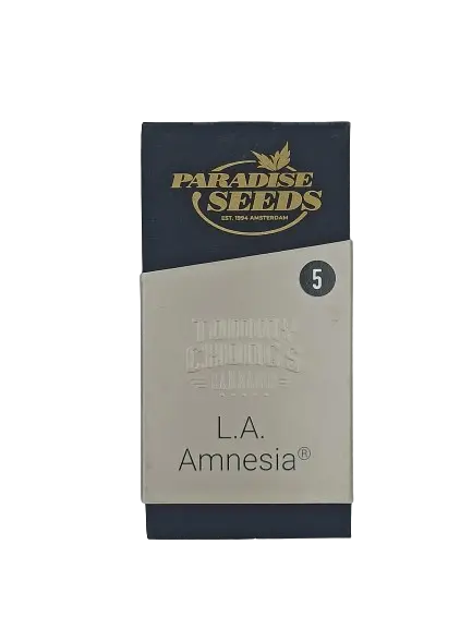 L.A. Amnesia | Feminisierte Hanfsamen von Paradise Seeds