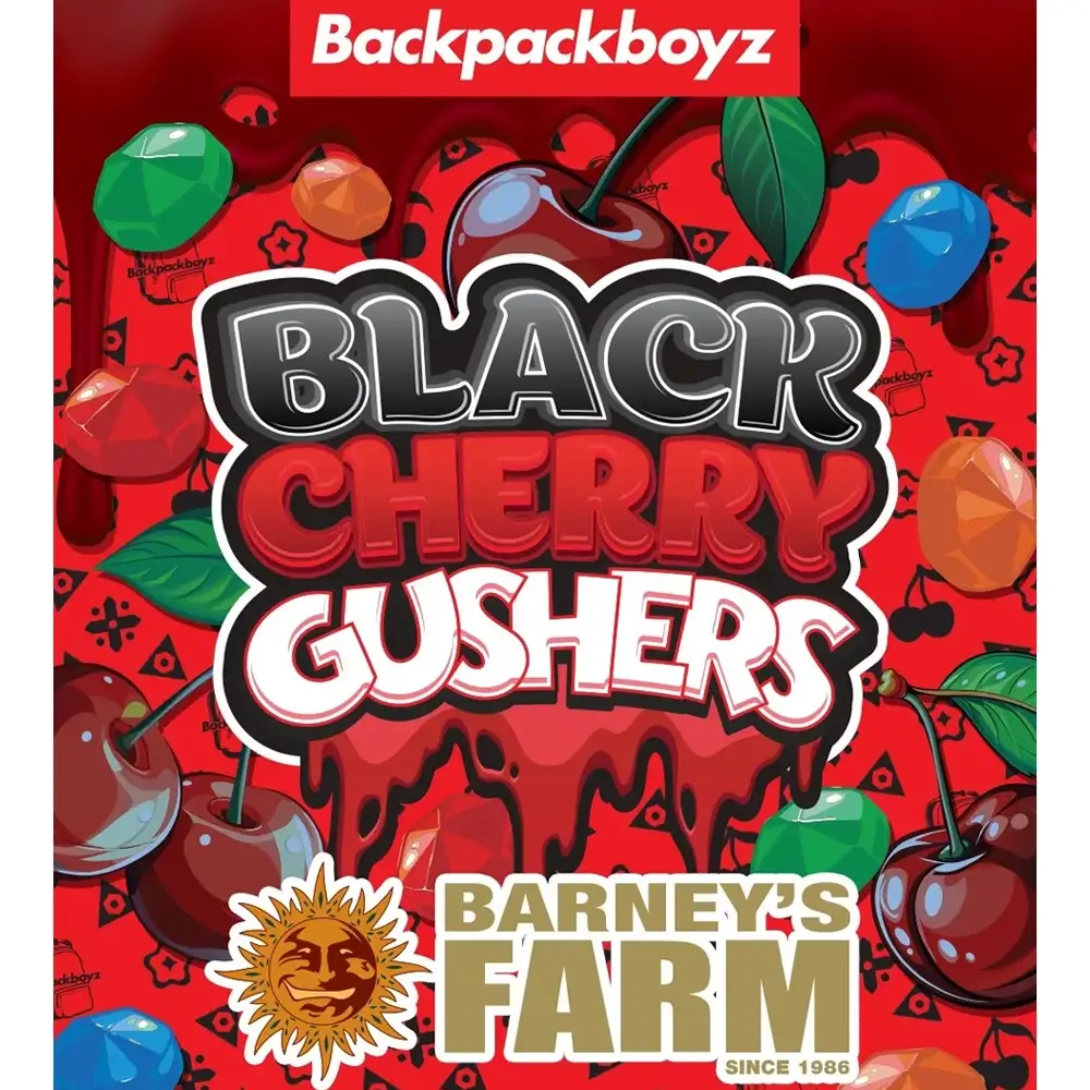 Black Cherry Gushers Artwork Sorten-Illustration Black Cherry Gushers zur Backpackboyz Collaboration