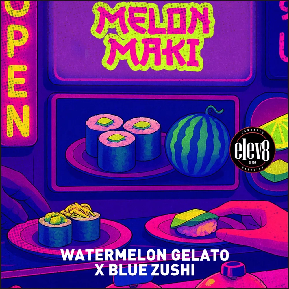 Melon Maki Artwork Sorten-Illustration Melon Maki von Elev8 Seeds aus Watermelon Gelato x Blue Zushi