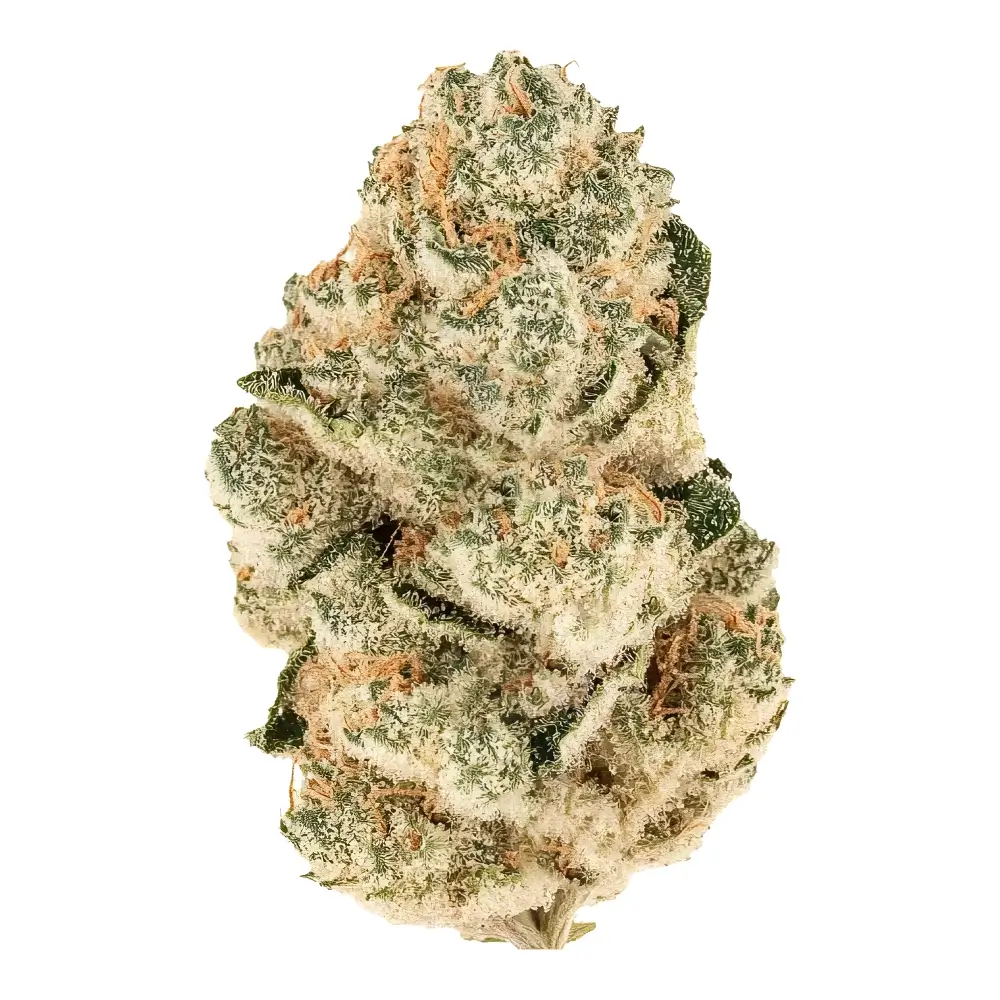Gorilla Melon | Feminisierte Cannabissamen von Fast Buds | 3 Samen