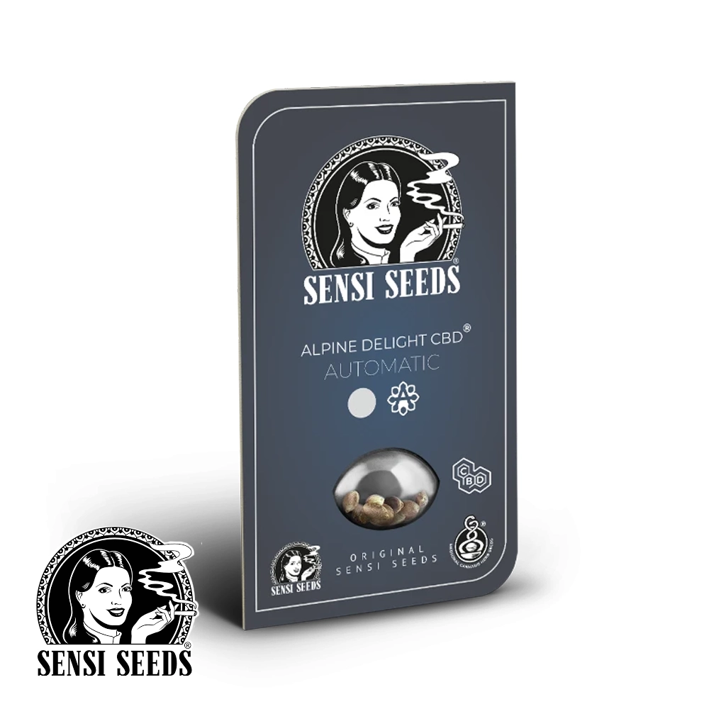 Alpine Delight CBD Auto | Autoflowering Hanfsamen von Sensi Seeds