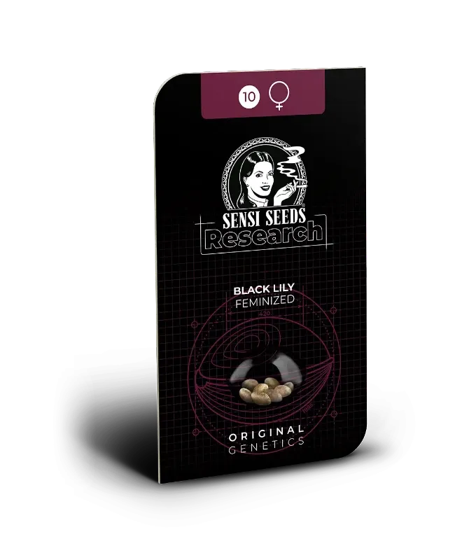 Black Lily Verpackung Dunkle Sensi Seeds Verpackung Black Lily feminisiert