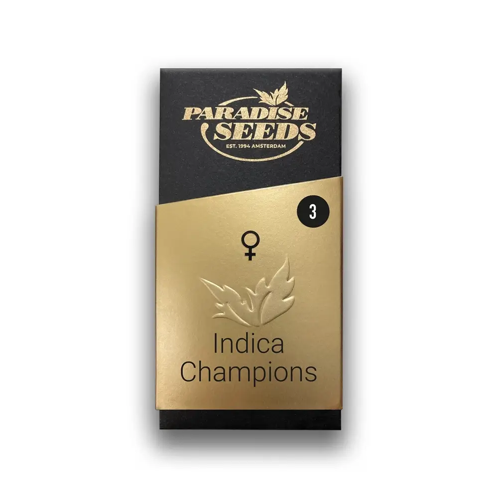 Emerald Envy Verpackung Goldene Paradise Seeds Verpackung aus der Reihe Indica Champions