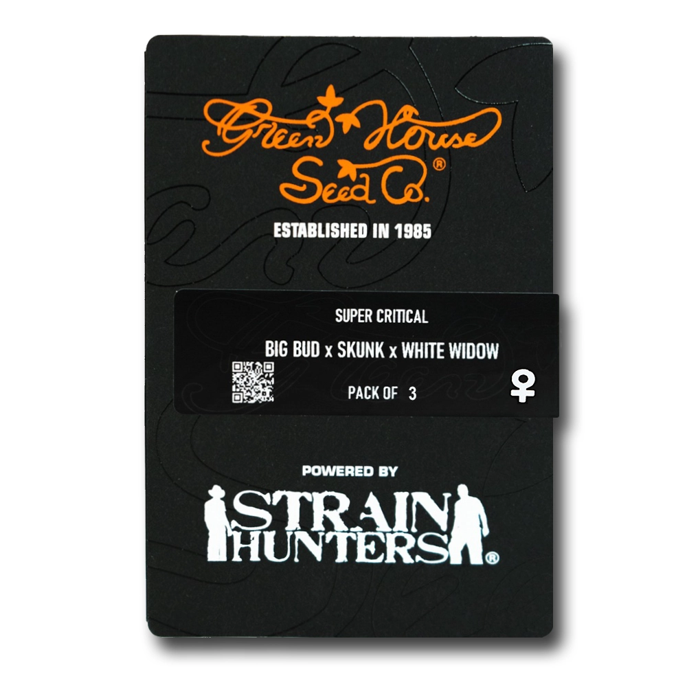 Super Critical | Feminisierte Hanfsamen von Green House Seeds
