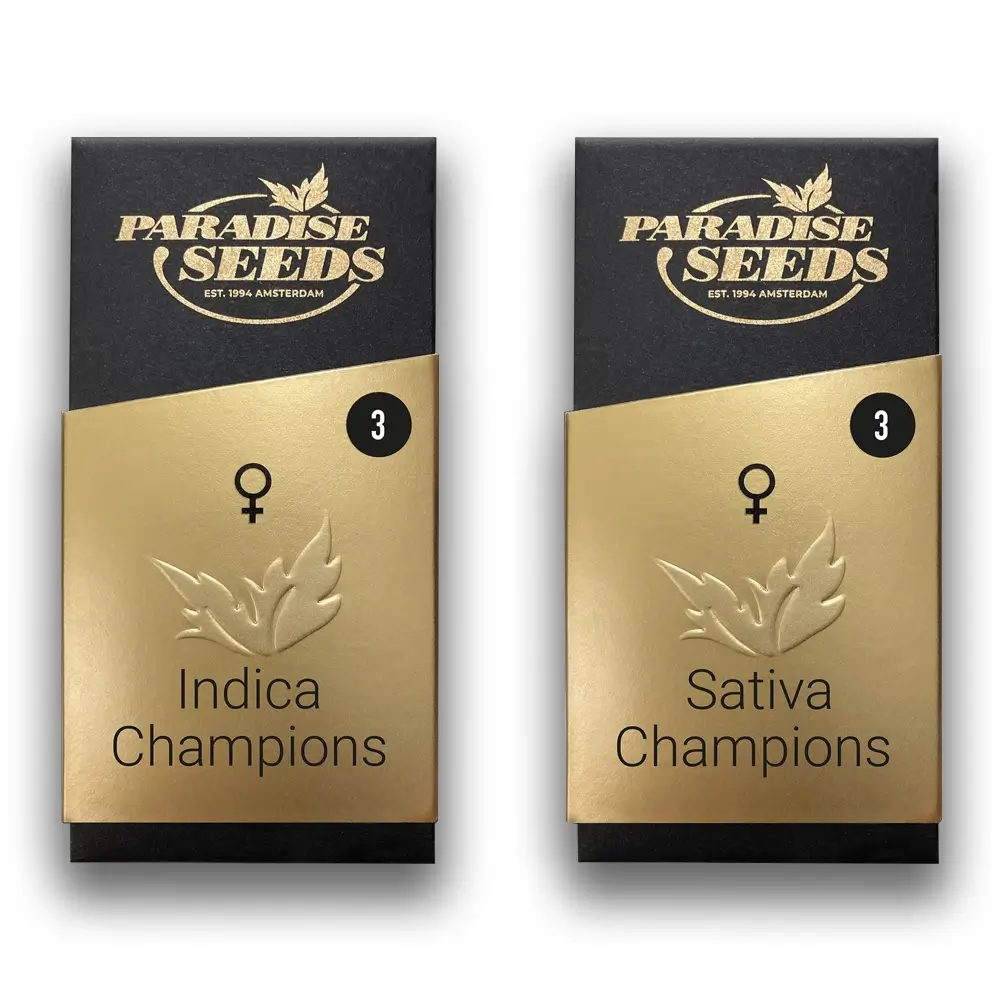 Momo Verpackung Zwei goldene Paradise Seeds Verpackungen, Indica und Sativa Champions