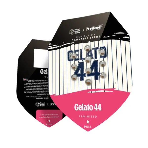 Gelato 44 - Tyson | Feminisierte Cannabissamen von Royal Queen Seeds