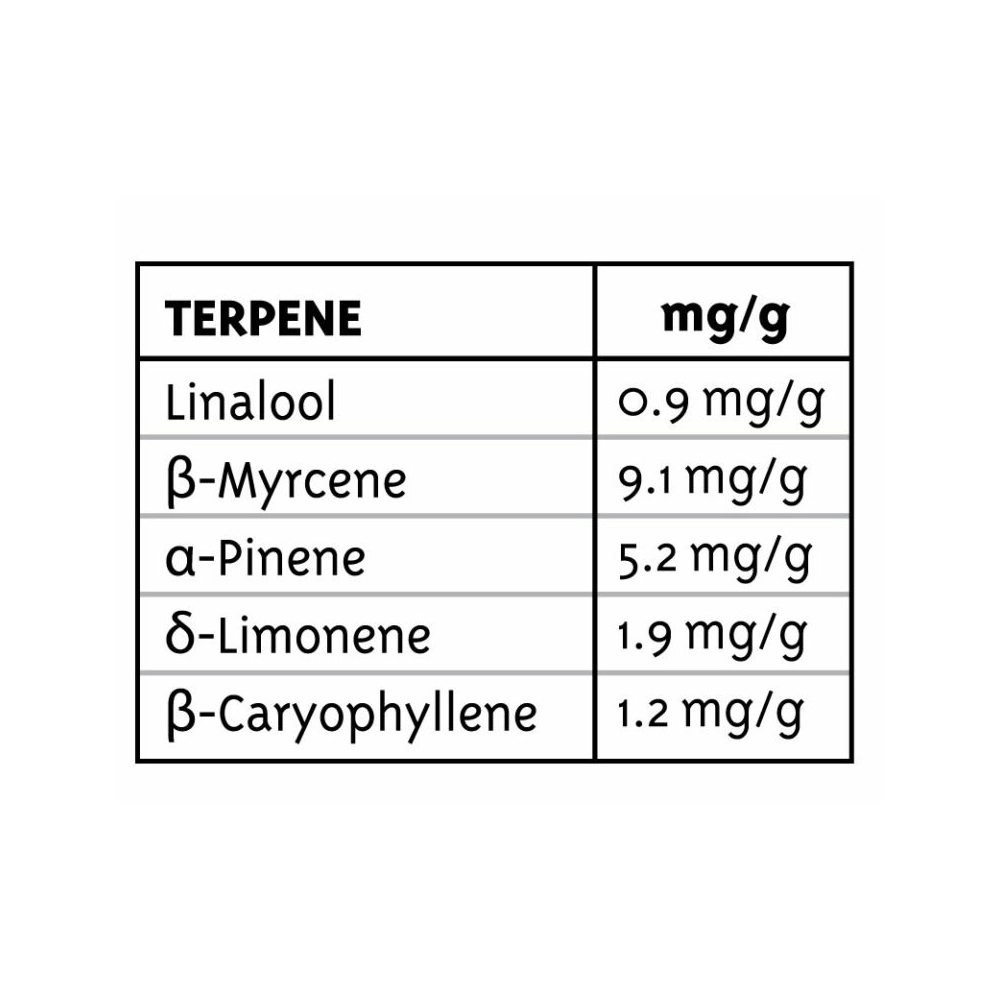 Humboldt Dream | Feminisierte Hanfsamen von Humboldt Seed