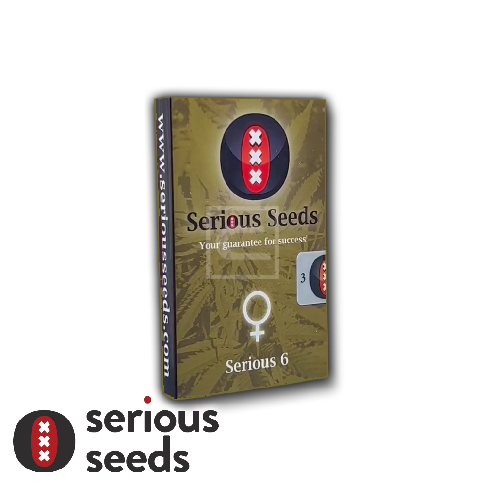 Serious 6 | Feminisierte Hanfsamen von Serious Seeds